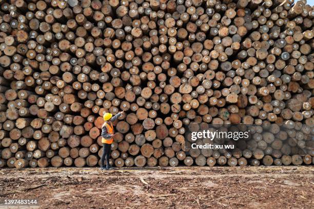 female worker is counting the quantity with a tablet in hand - data storage stockfoto's en -beelden