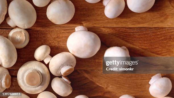 white mushrooms - white mushroom stock pictures, royalty-free photos & images