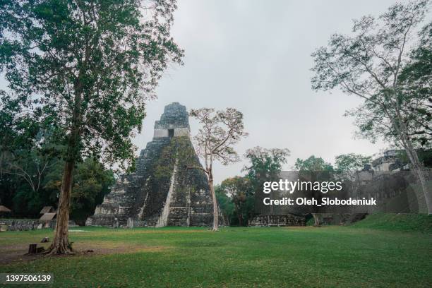 scenic view of tikal mayan pyramids - cultura guatemalteca imagens e fotografias de stock