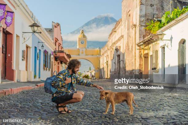 man petting stray dog on streets of antigua - guatemala city skyline stock pictures, royalty-free photos & images