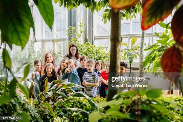 group of children looking at exotic plants with teacher - botanischer garten berlin stock-fotos und bilder