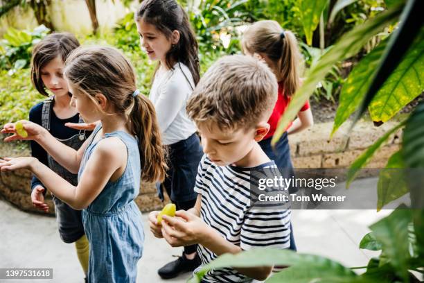 young school children examining exotic plant flowers while visiting botanic gardens - botanischer garten berlin stock-fotos und bilder