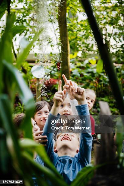 children pointing at exotic plants while exploring botanic gardens - child discovering science stock pictures, royalty-free photos & images