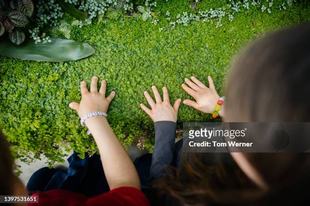 school children touching flora while on school trip to botanic gardens - child discovering science stockfoto's en -beelden