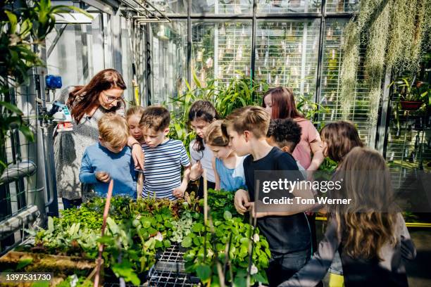 young school class looking at small plants with teacher - botanischer garten berlin stock-fotos und bilder