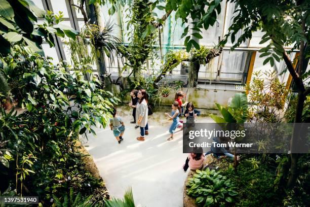 teacher showing young pupils round large botanic garden - botanischer garten berlin stock-fotos und bilder