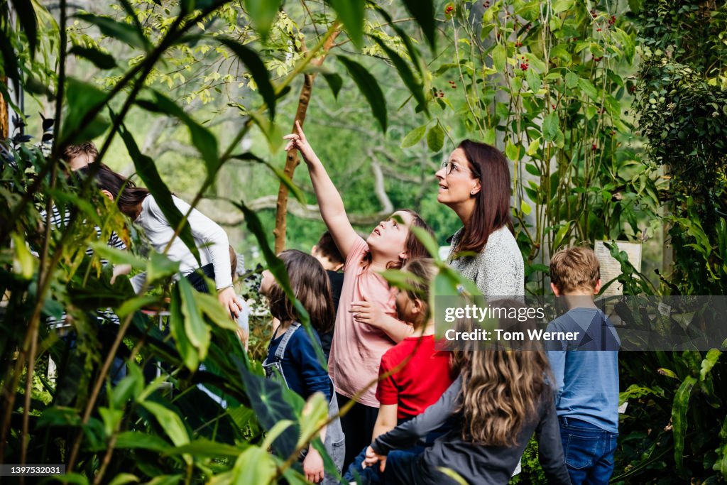 Young Girl Pointing Up Towards Exotic Plant While On Educational Field Trip