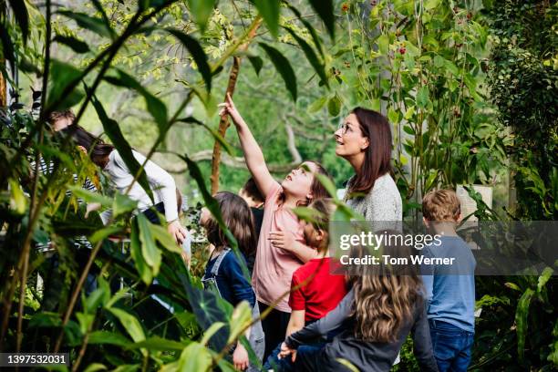 young girl pointing up towards exotic plant while on educational field trip - differential focus education reach stockfoto's en -beelden