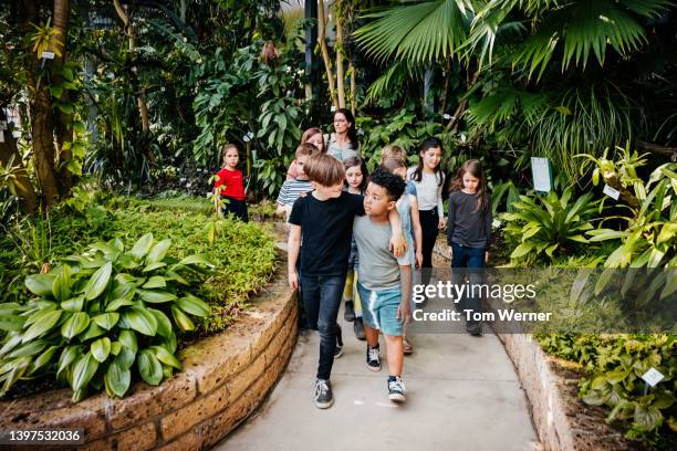 young school children walking together along botanic display during field trip - child hugging tree stock pictures, royalty-free photos & images