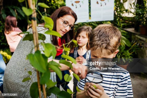 teacher showing children how to look at plants through magnifying glass - field trip ストックフォトと画像