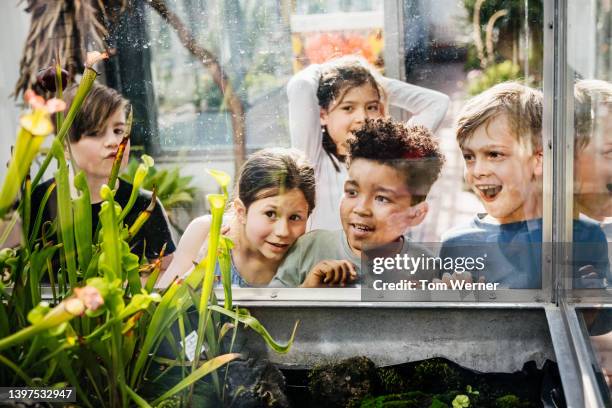 school children excited to see carnivorous plants on display at botanic gardens - kids discovery stock pictures, royalty-free photos & images