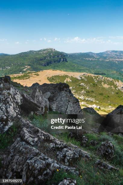 hiking around perda liana natural monument - perda 個照片及圖片檔