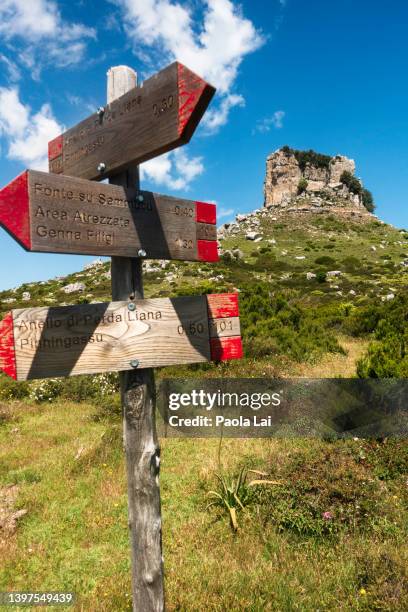 hiking around perda liana natural monument - perda 個照片及圖片檔