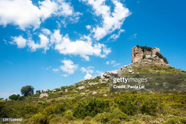 hiking around perda liana natural monument - perda 個照片及圖片檔