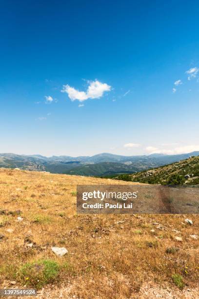 hiking around perda liana natural monument - perda 個照片及圖片檔