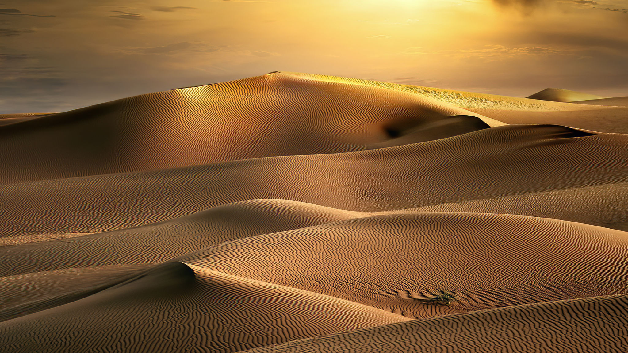 rub al khali
