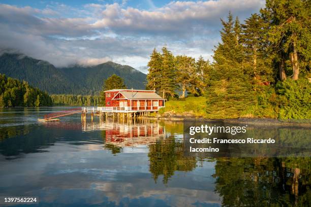 lake, forest and cottage on vancouver island, british columbia, western canada. - vancouver island stock pictures, royalty-free photos & images