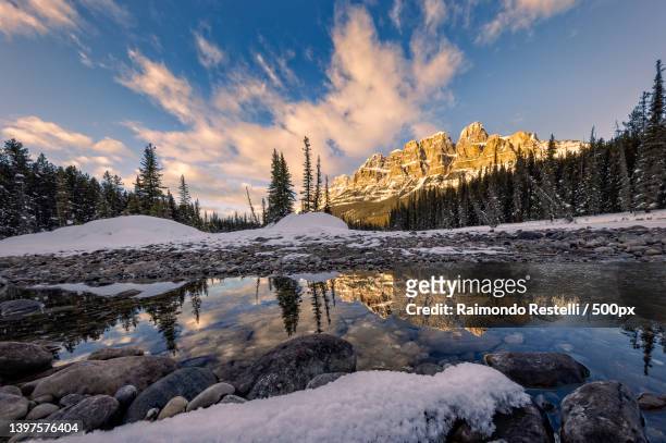 scenic view of lake against sky during winter,montagne rocciose canadesi,canada - montagne rocciose stockfoto's en -beelden
