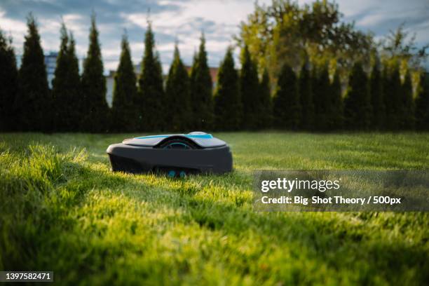 automatic baterry lawn mower cutting green grass in modern garden - mowing lawn stock-fotos und bilder