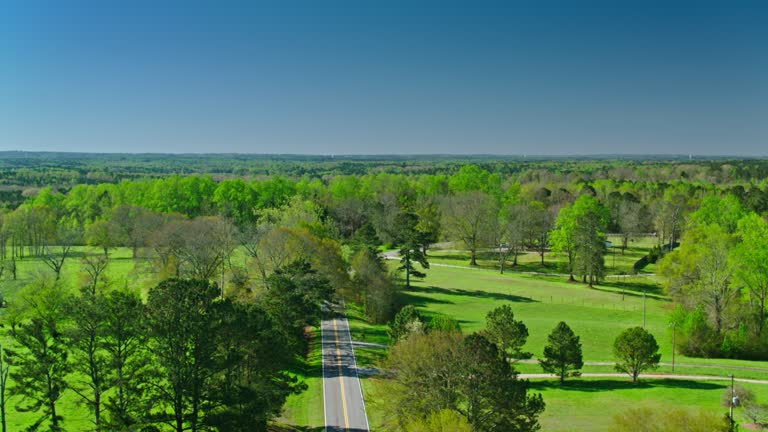 Atlanta Georgia Rural 2,579 Georgia Forests Stock Videos, Footage, & 4K Video Clips - Getty ...