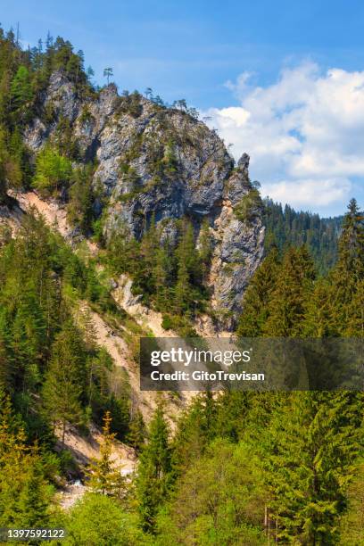 santo stefano di cadore - - santo stefano di cadore stock pictures, royalty-free photos & images
