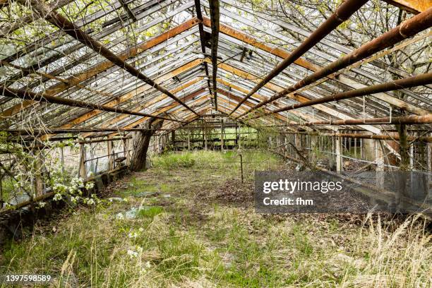 old greenhouse in an abandoned old nursery - run down stock pictures, royalty-free photos & images