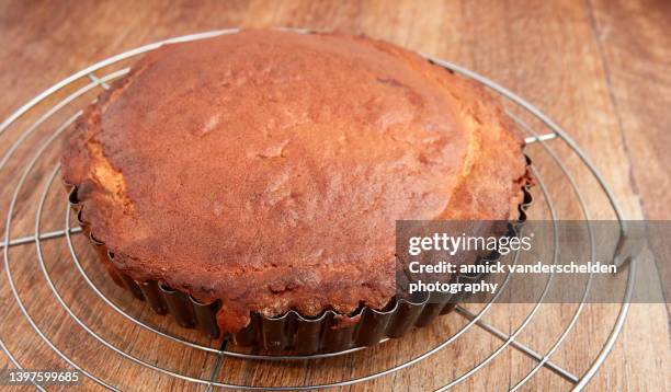 flan pie - tarte à la crème pâtissière photos et images de collection