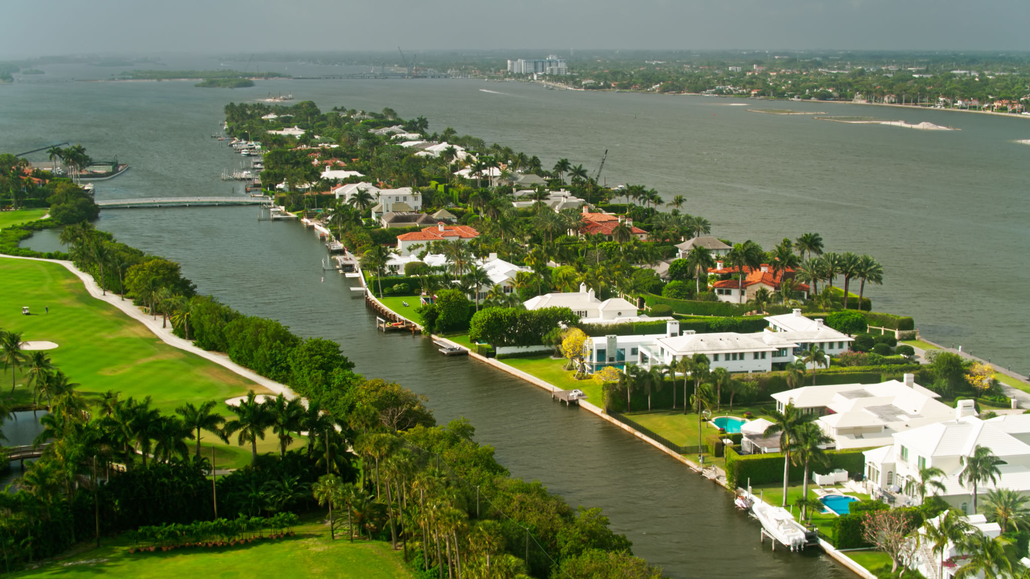 palm beach wealth