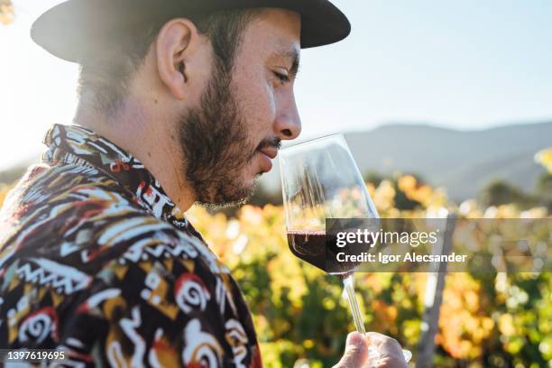 man tasting wine in the vineyard - merlot grape stock pictures, royalty-free photos & images