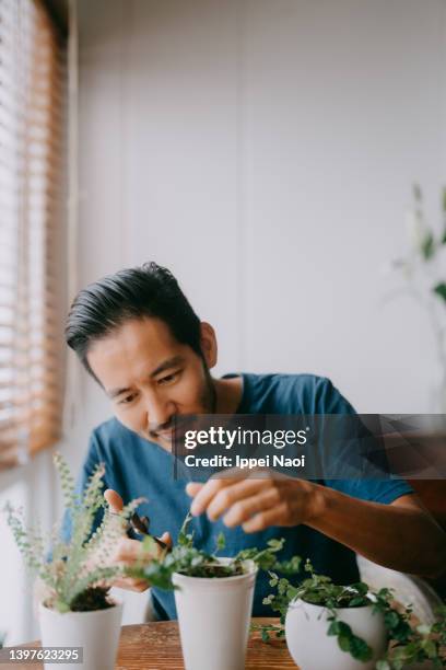 man taking care of plants at home - men hobbies stock pictures, royalty-free photos & images