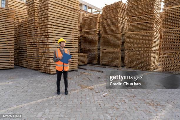 木の積み重ねエリアで働くアジア人女性倉庫員 - wood worker posing ストックフォトと画像