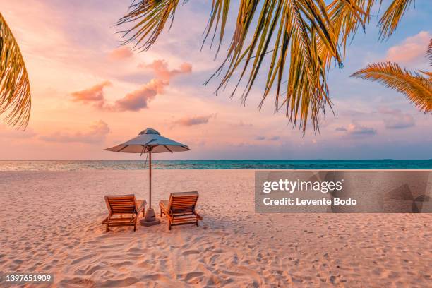 beautiful tropical sunset scenery, two sun beds, loungers, umbrella under palm tree. white sand, sea view with horizon, colorful twilight sky, calmness and relaxation. inspirational beach resort hotel - sandsun stock-fotos und bilder