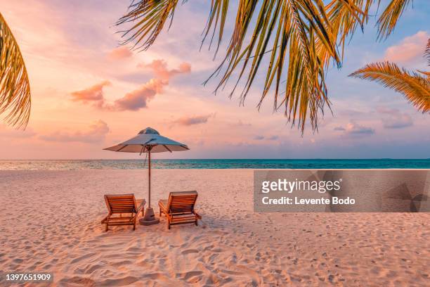 beautiful tropical sunset scenery, two sun beds, loungers, umbrella under palm tree. white sand, sea view with horizon, colorful twilight sky, calmness and relaxation. inspirational beach resort hotel - couple sand sunset stock pictures, royalty-free photos & images