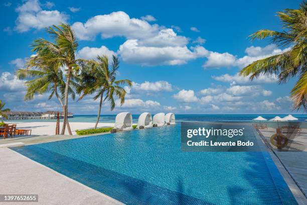 outdoor tourism landscape. luxurious beach resort with swimming pool and beach chairs or loungers umbrellas with palm trees and blue sky, sea horizon. summer island relax travel and idyllic vacation - piscine de complexe balnéaire photos et images de collection