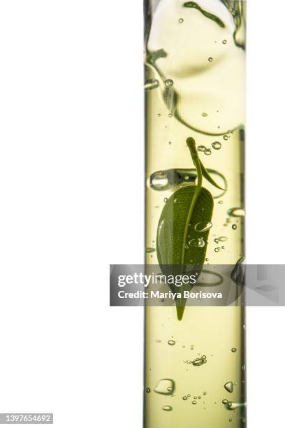 a test tube with a transparent green cosmetic gel and a green leaf. - creme tube ストックフォトと画像