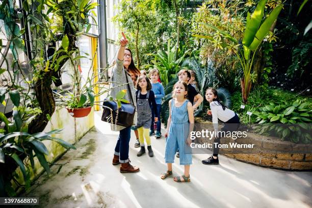 teacher showing young children plant life on display in garden centre - botanischer garten berlin stock-fotos und bilder