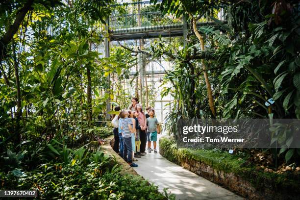 teacher and young children exploring botanic gardens while on educational field trip - science exhibition stock pictures, royalty-free photos & images