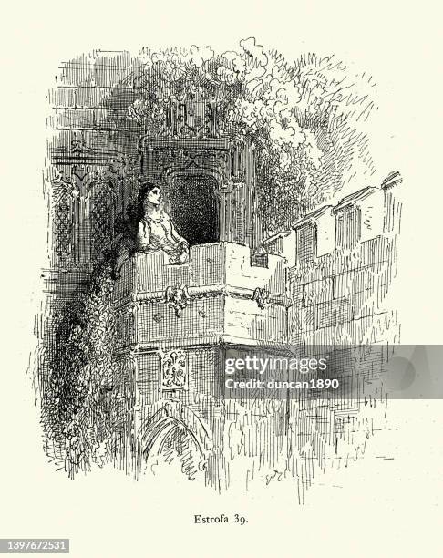 medieval princess standing on a castle wall, tower, fantasy, chivalric romance - 塔 幅插畫檔、美工圖案、卡通及圖標