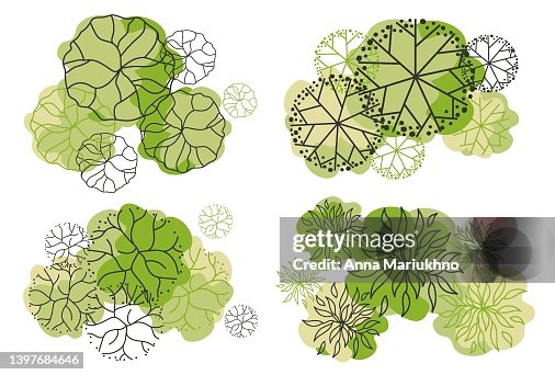 Tree For Architectural Floor Plans Entourage Design High-Res Vector ...