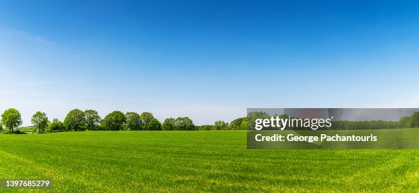 Green grass panorama and clear blue sky on a summer day Green grass panorama and clear blue sky on a summer day