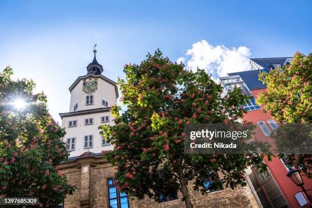 town hall of jena in thuringia, germany - jena stockfoto's en -beelden