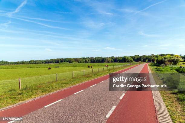 countryside road with bicycle lanes on the side on a sunny day - cykelbana bildbanksfoton och bilder