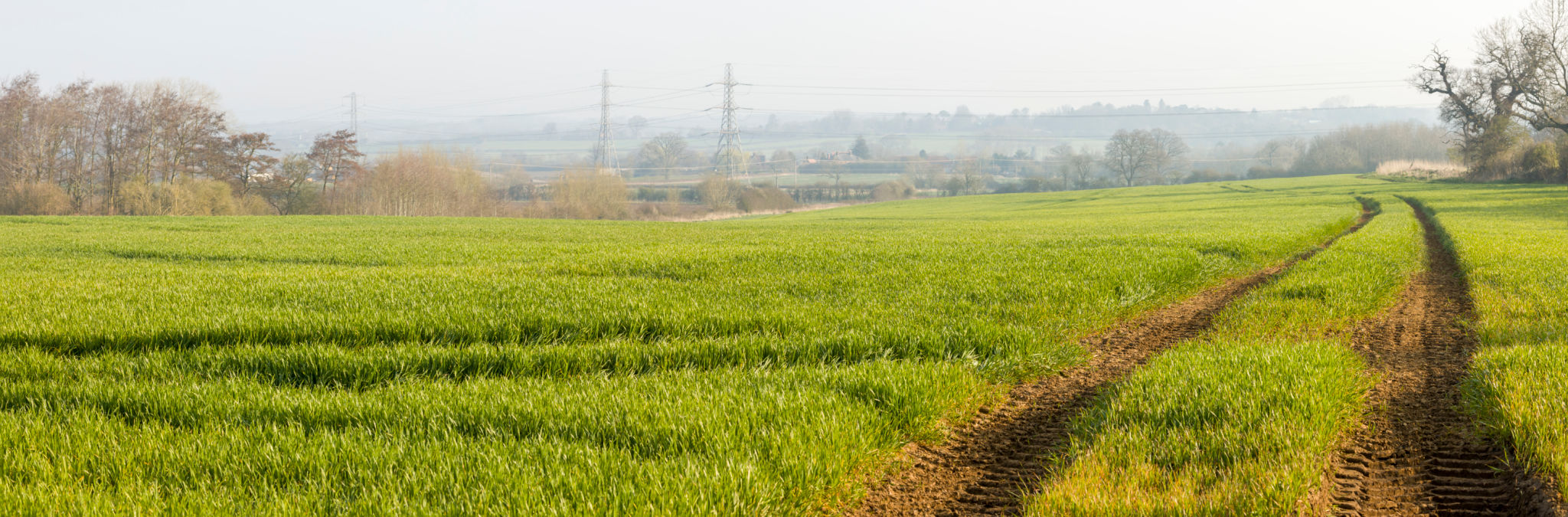 aylesbury countryside spring