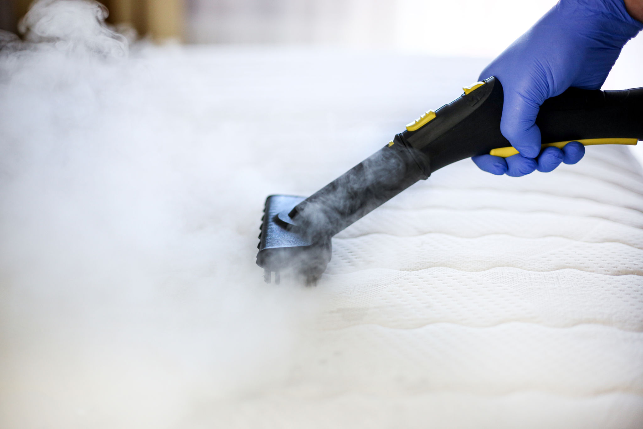 steam cleaning