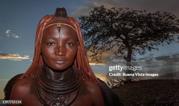 namibia. portrait of a young himba woman. - himba stock-fotos und bilder