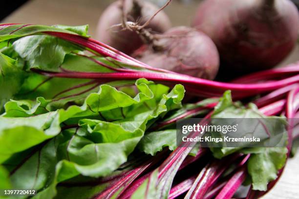 beet greens - beet leaves stock pictures, royalty-free photos & images