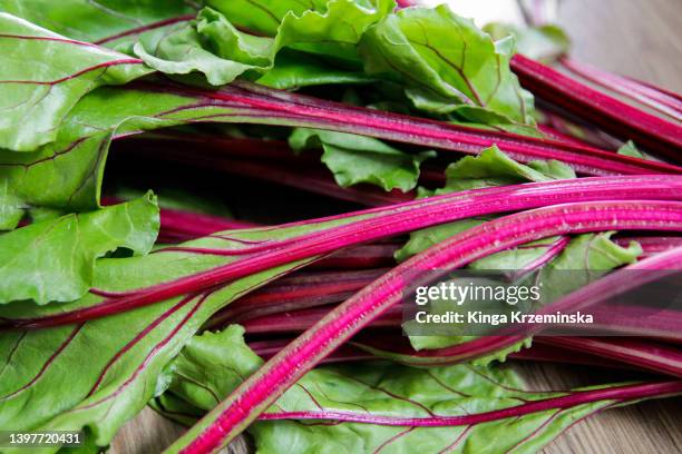 beet greens - chard stock pictures, royalty-free photos & images