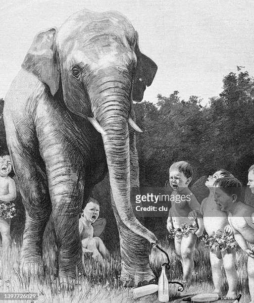 elefant trinkt babyflaschen leer, es ist ein großes schreien und wehklagen - baby elephant stock-grafiken, -clipart, -cartoons und -symbole