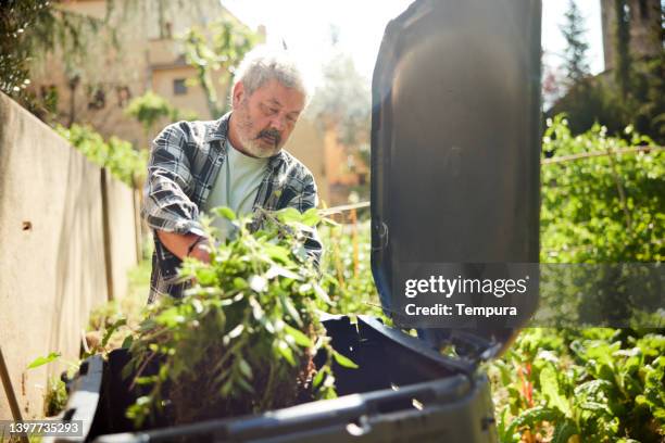 a senior man is adding materials to a compost bin. - compost garden stockfoto's en -beelden