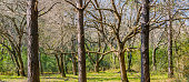 Bartolome Hidalgo Park, Flores, Uruguay